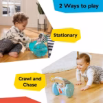 Baby Einstein Chase & Tap Earl Interactive Crawling Toy - Image 2